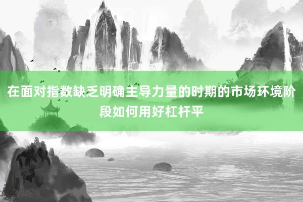 在面对指数缺乏明确主导力量的时期的市场环境阶段如何用好杠杆平