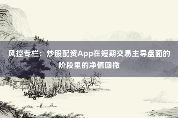 风控专栏：炒股配资App在短期交易主导盘面的阶段里的净值回撤