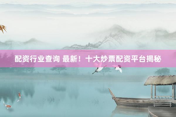 配资行业查询 最新！十大炒票配资平台揭秘
