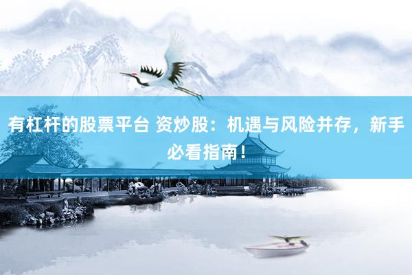 有杠杆的股票平台 资炒股：机遇与风险并存，新手必看指南！